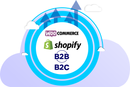 Web Design Evolution